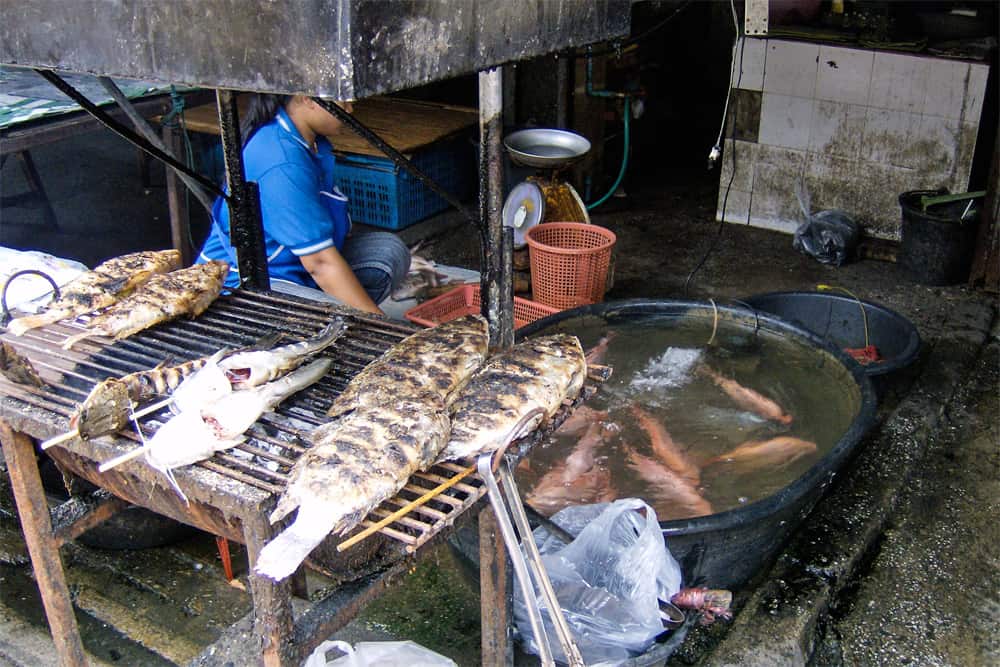 Fish grilling over charcoal. A woman stand behind grill and beside a pail filled with live fish.