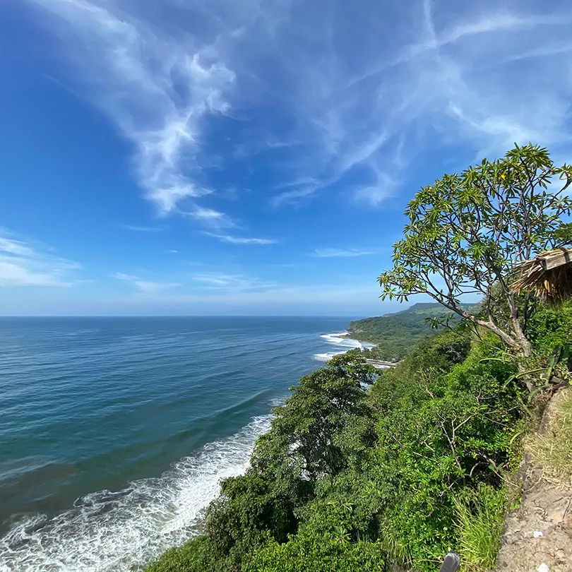 Green trees on a cliff overlooking the ocean coastline.